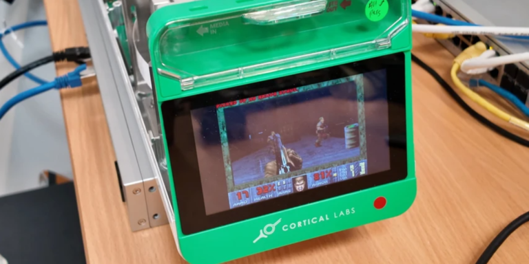 Brain cells have learned to play video games, report says